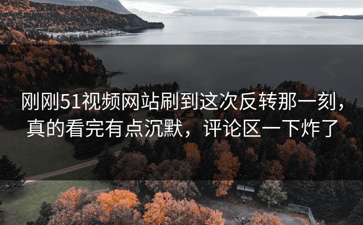 刚刚51视频网站刷到这次反转那一刻，真的看完有点沉默，评论区一下炸了